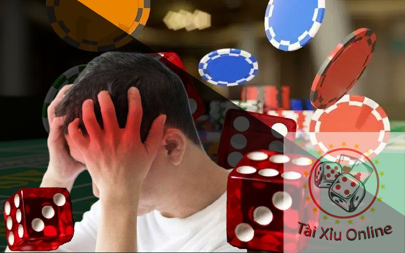 Tài xỉu online uy tín - Top 3 nhà cái có game tài xỉu xịn Tại sao chơi tài xỉu toàn thua?